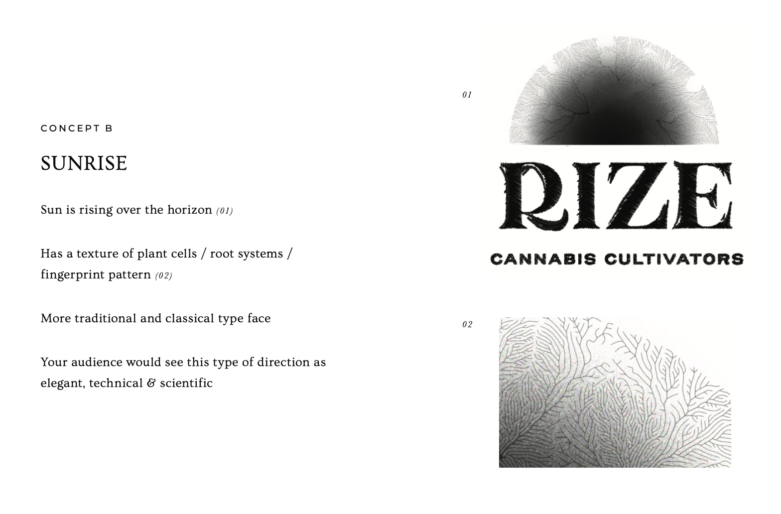 Rize logo concept