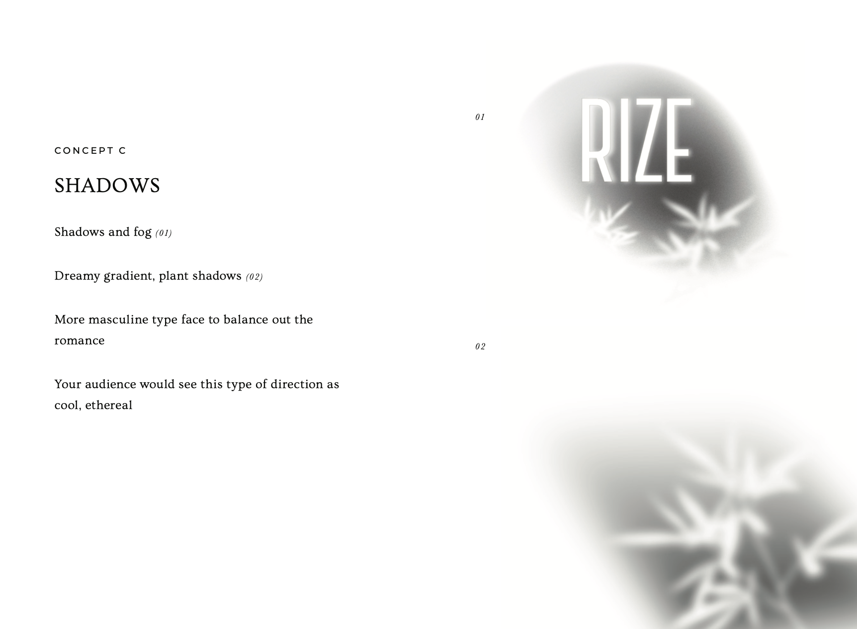 Rize logo concept C